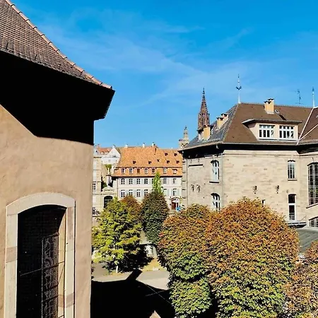 Apartment Splendide T3 Proche Petite France Dragon *