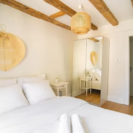 Splendide T3 Proche Petite France Dragon Strasburgo