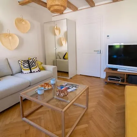 Splendide T3 Proche Petite France Dragon