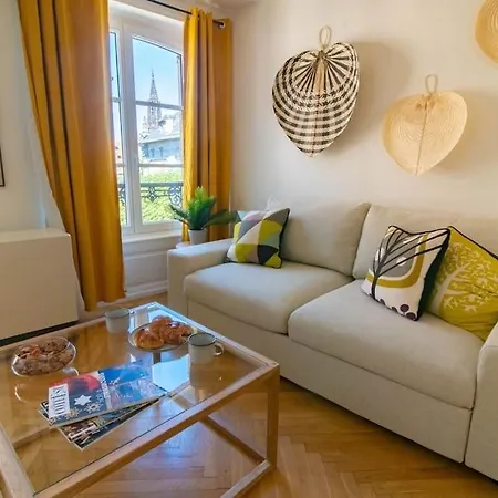 Splendide T3 Proche Petite France Dragon